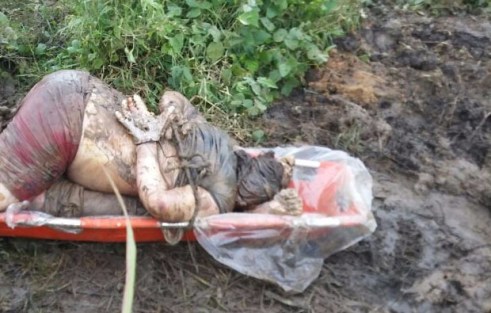 WhatsApp Image 2017-10-24 at 9.44.03 PM