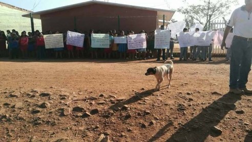 WhatsApp Image 2018-02-27 at 9.44.52 AM