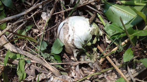 WhatsApp Image 2018-04-08 at 2.53.11 PM