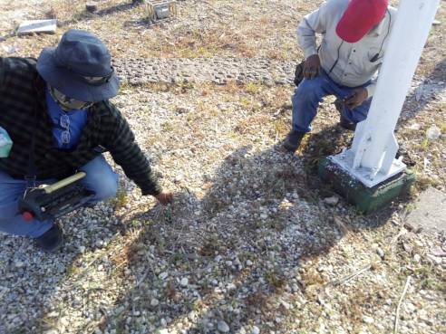 WhatsApp Image 2018-05-28 at 11.52.56 AM