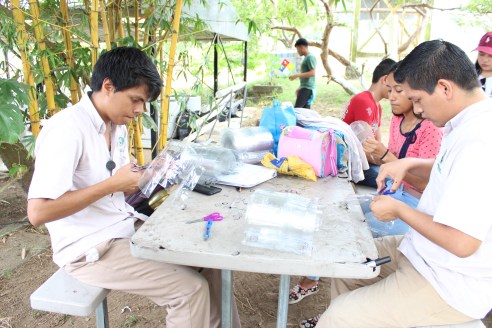 TEJAR DE BOTELLAS PET (5)