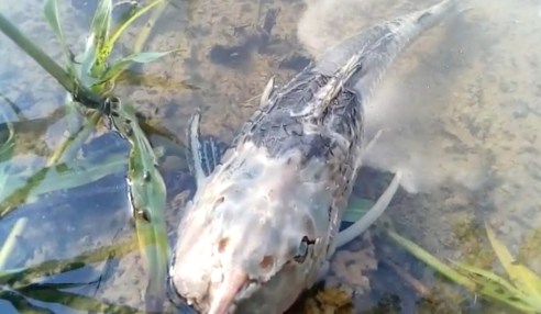 WhatsApp Image 2018-06-15 at 1.06.04 PM