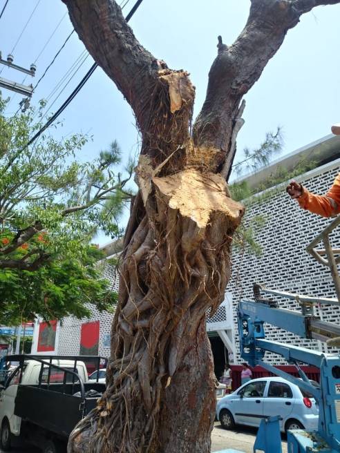 WhatsApp Image 2018-08-21 at 10.40.13 AM