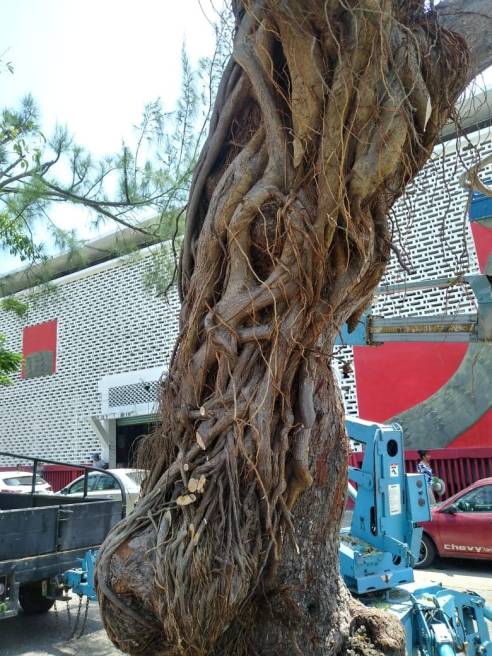 WhatsApp Image 2018-08-21 at 10.40.14 AM