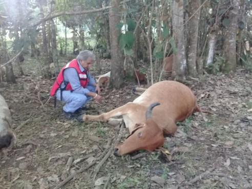 WhatsApp Image 2018-08-22 at 5.59.23 PM