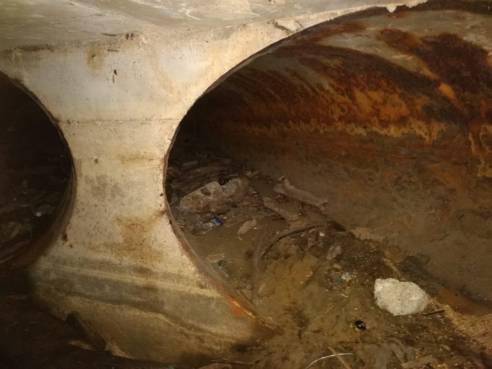 WhatsApp Image 2018-09-04 at 10.29.24 AM