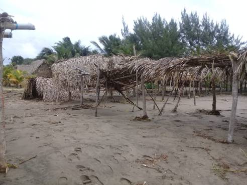 WhatsApp Image 2018-11-15 at 6.35.25 PM