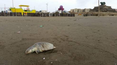 WhatsApp Image 2018-11-16 at 2.04.49 PM