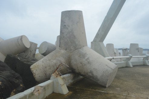 WhatsApp Image 2018-11-20 at 12.11.44 PM (5)