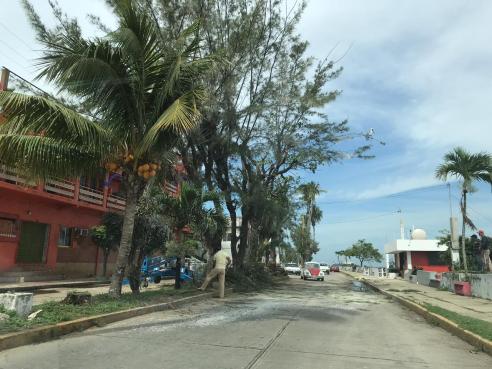 whatsapp image 2019-01-17 at 1.15.25 pm