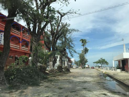 whatsapp image 2019-01-17 at 1.15.31 pm (3)