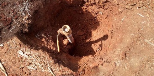 whatsapp image 2019-01-23 at 7.49.29 pm