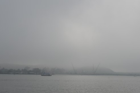 NIEBLA NORTE