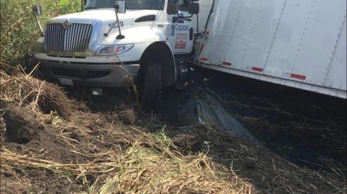 WhatsApp Image 2019-02-07 at 9.46.00 AM