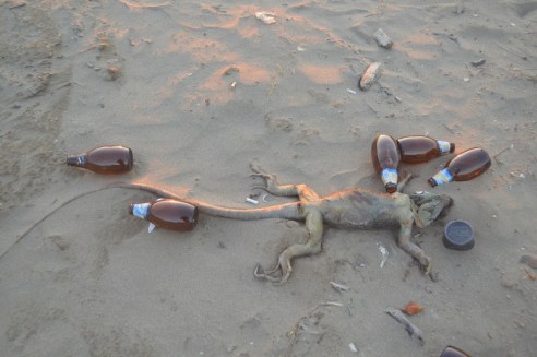 WhatsApp Image 2019-02-17 at 6.25.30 PM