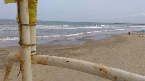 WhatsApp Image 2019-02-19 at 5.13.37 PM