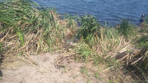 WhatsApp Image 2019-02-27 at 7.09.16 PM