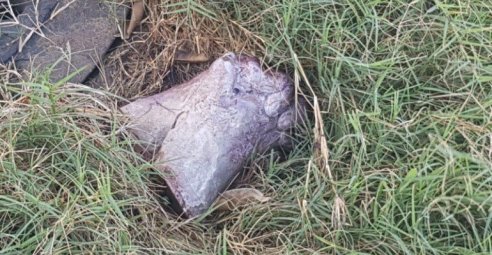 WhatsApp Image 2019-02-27 at 9.26.34 PM