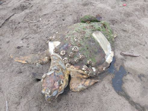 WhatsApp Image 2019-03-04 at 4.32.21 PM (1)