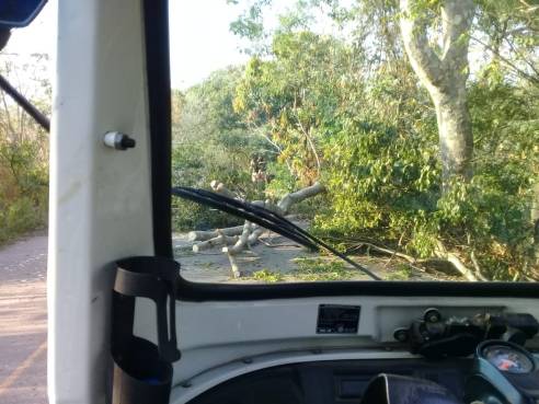 WhatsApp Image 2019-03-10 at 7.30.10 PM