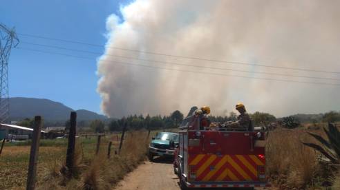 WhatsApp Image 2019-03-11 at 4.30.17 PM