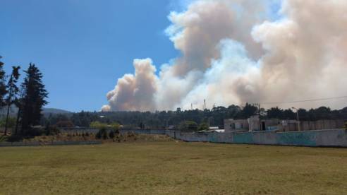 WhatsApp Image 2019-03-11 at 4.36.30 PM