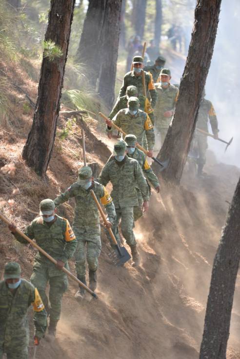 WhatsApp Image 2019-03-11 at 9.26.08 PM