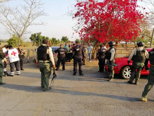 WhatsApp Image 2019-03-24 at 9.08.20 PM