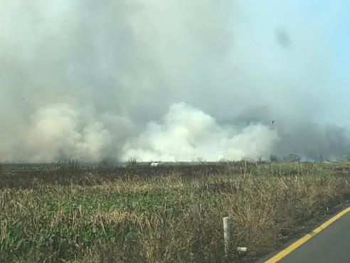 WhatsApp Image 2019-04-11 at 3.32.32 PM