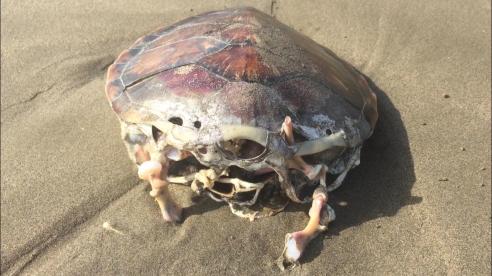 WhatsApp Image 2019-04-19 at 2.34.35 PM