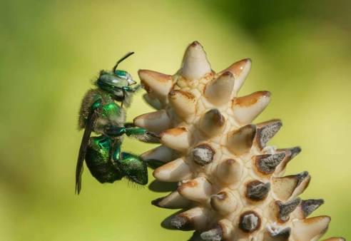 60787187_1218100425016505_4182038728748826624_n