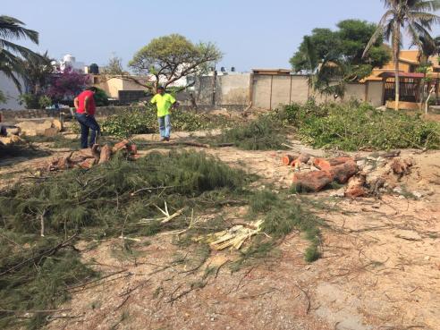 WhatsApp Image 2019-05-07 at 6.00.49 PM