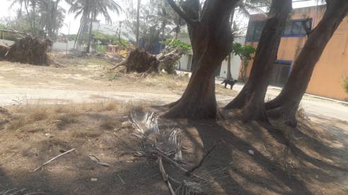 WhatsApp Image 2019-05-07 at 6.00.53 PM