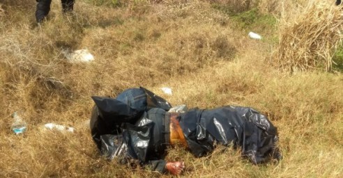 WhatsApp Image 2019-05-07 at 6.02.47 PM