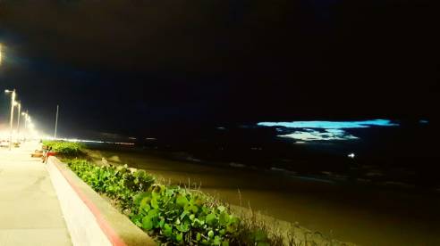 WhatsApp Image 2019-06-01 at 9.35.02 PM