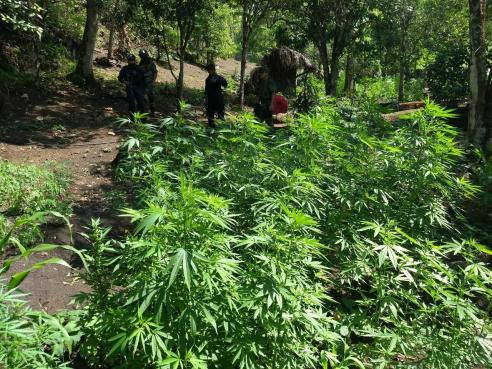 WhatsApp Image 2019-06-07 at 8.48.58 PM