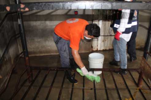 WhatsApp Image 2019-07-13 at 5.50.16 PM