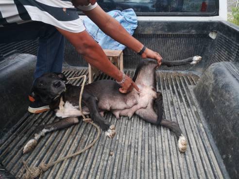 WhatsApp Image 2019-07-22 at 1.05.40 PM