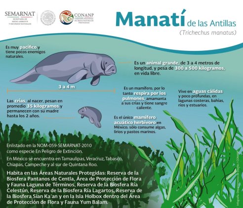 MANATI