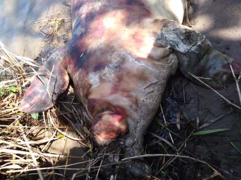 WhatsApp Image 2019-08-05 at 4.34.23 PM