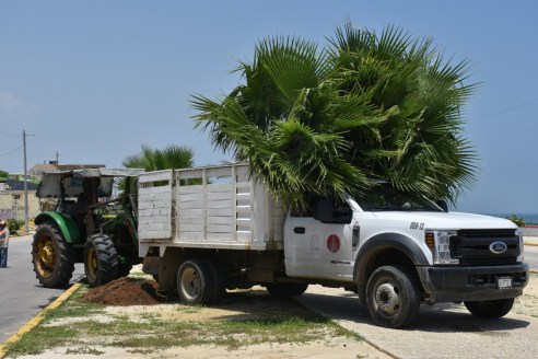 WhatsApp Image 2019-08-06 at 2.24.49 PM