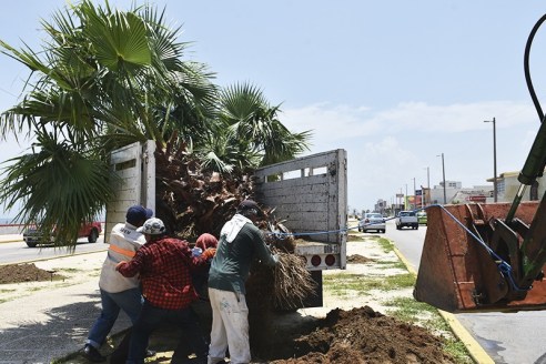 WhatsApp Image 2019-08-06 at 2.24.52 PM