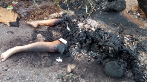 WhatsApp Image 2019-08-15 at 3.54.57 PM