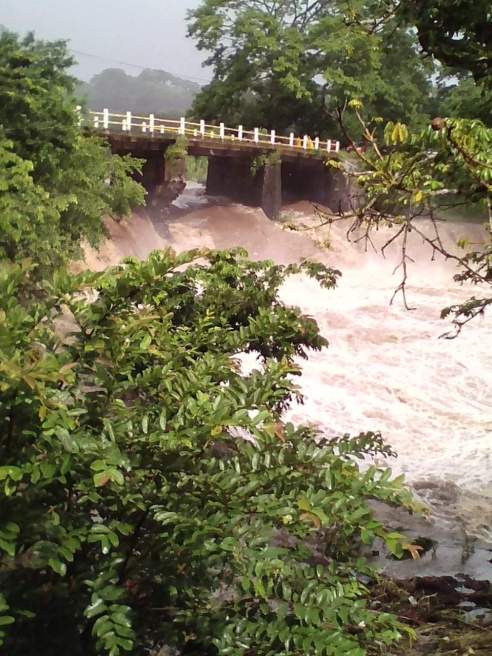 WhatsApp Image 2019-10-13 at 8.25.55 PM