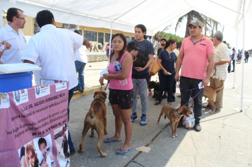 WhatsApp Image 2019-10-21 at 9.16.09 PM