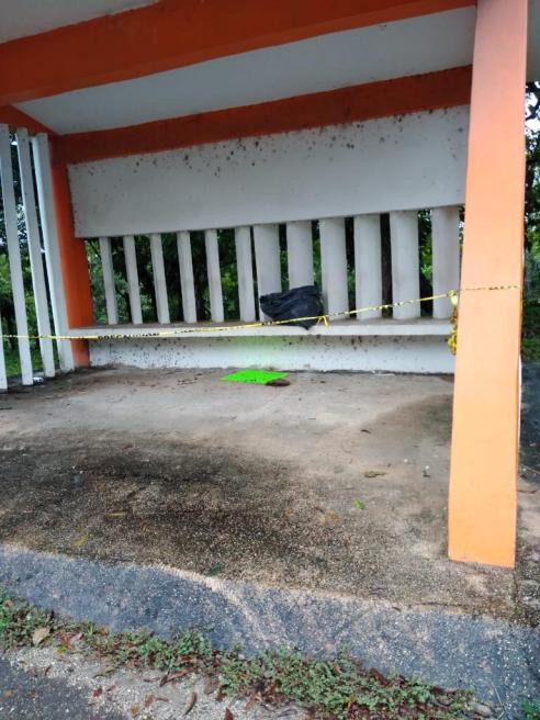 WhatsApp Image 2019-10-26 at 11.25.13 AM