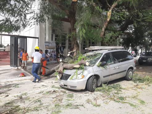 WhatsApp Image 2019-10-31 at 2.50.13 PM (2)