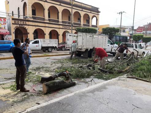 WhatsApp Image 2019-10-31 at 2.50.13 PM