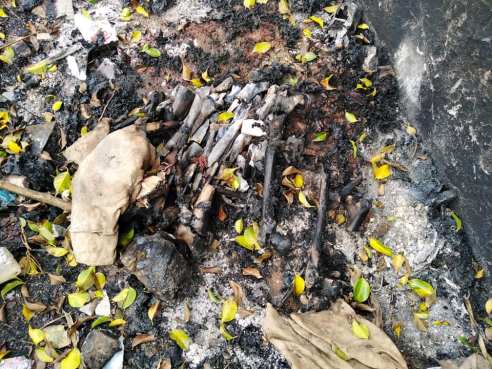 74374545_2497110423658070_6036019975485915136_n