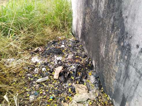 75553072_2497118626990583_124046515298631680_n